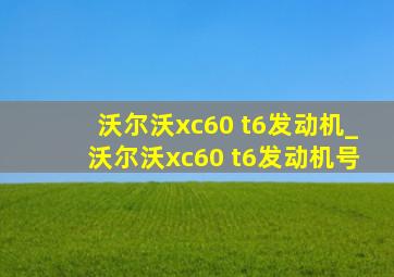 沃尔沃xc60 t6发动机_沃尔沃xc60 t6发动机号